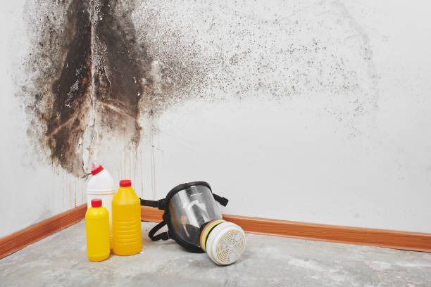 Ucon, ID Mold Removal Company