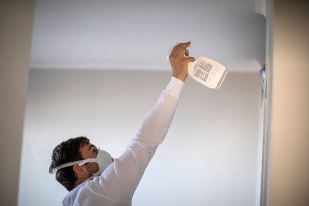 Best Fast Mold Removal  in Ucon, ID