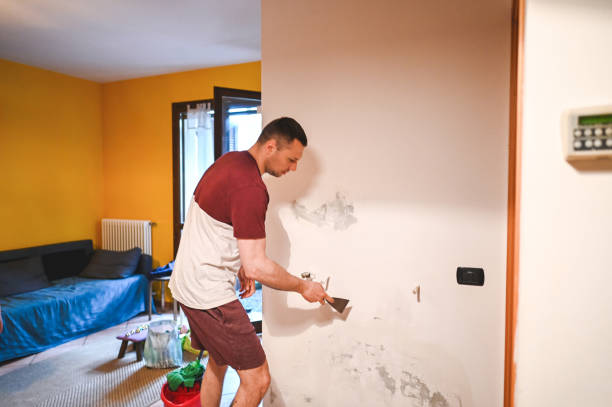 Best Residential Mold Removal  in Ucon, ID